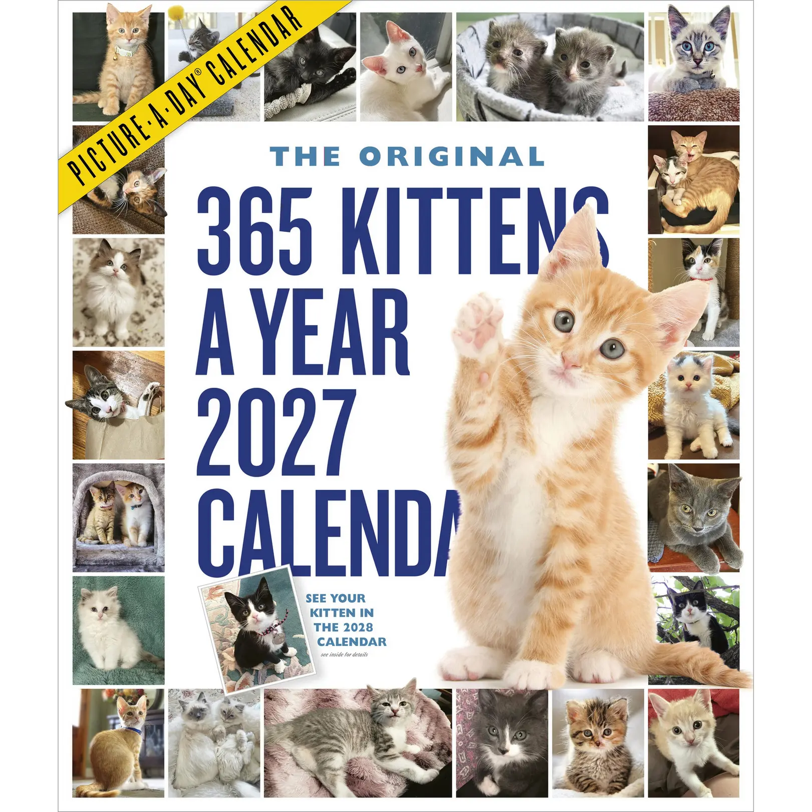 365 Kittens-A-Year Picture-A-Day® Wall Calendar 2027 by Workman Publishing