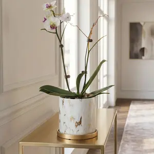 Butterfly Orchid Ceramic Small Flower Pot, Luxury High-End Marble Pattern Home Large Vase, Elegant Decorative Planter