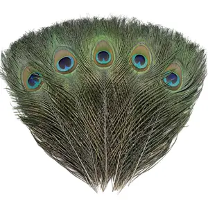 12 count Real  Peacock Eye Feathers 10-12 inch for DIY Craft, Wedding and Holiday Decorations