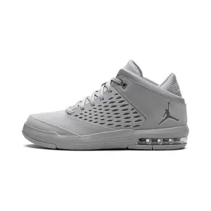JORDAN FLIGHT ORIGIN 4 "Cool Grey" 921196 005