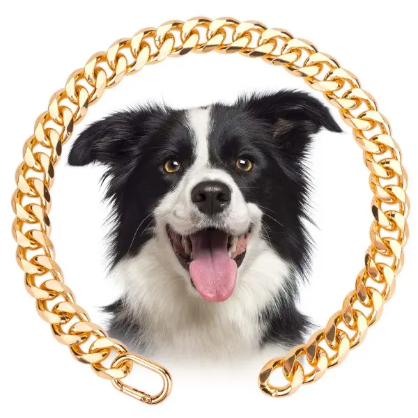 Dog Cuban Link Chain Collar - Sparkling Finish Gold Aluminum Metal, Lightweight, Durable, Comfortable, Secure Fit, Stylish Functional Pet Neck Accessory, Small Sizes, Mini Lobster Clasp, Outdoor Use
