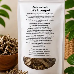 Fey Trompet Haiti