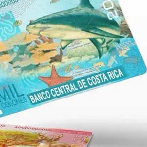 Costa Rica Colón style Themed Stickers. The Ultimate Rectangle Sticker for Anywhere & Anything | Waterproof Vinyl | Clean Minimal Tech Aesthetic | Perfect for Laptops, Phones & Everyday Use