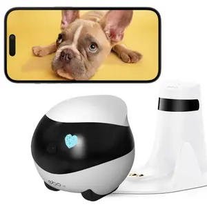Remote Camera Robot