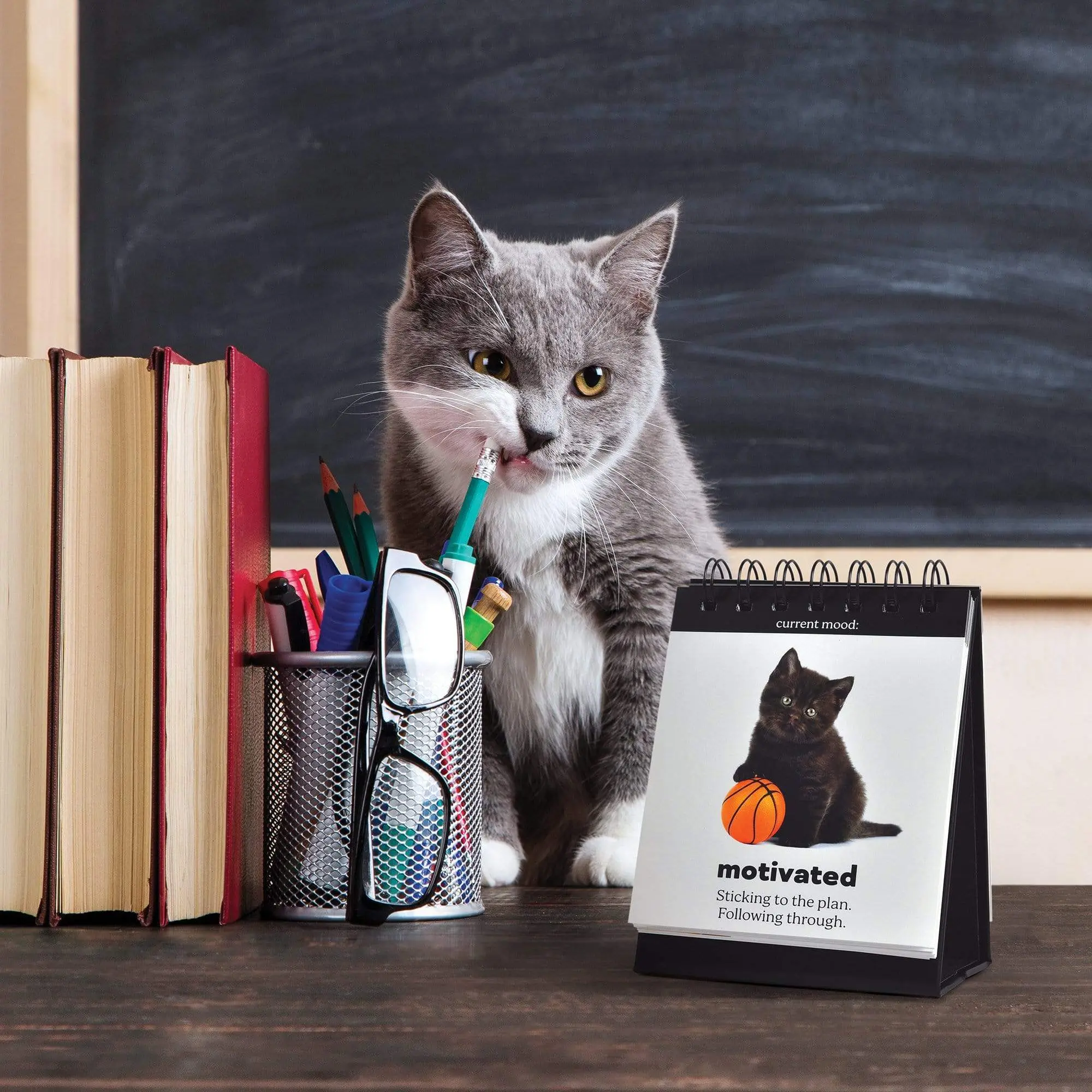 Daily Cattitudes Desk Flipchart - Animal-Themed Office Stationery with Adorable Kitten Images, 48 Mood Variety, 6.1x4.113x0.6 in Size, Personal Organiser to Brighten Up Work Day & Turn You Into Office Hero, All-Season Suitable
