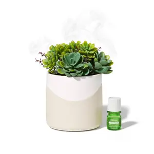 Lifelines Planter Diffuser - Succulent