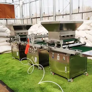 Automatic Tray Seed Sower Planter Efficient Seeder & Transplanter for Farm & Nurseries New Condition Automatic Tray Seeder