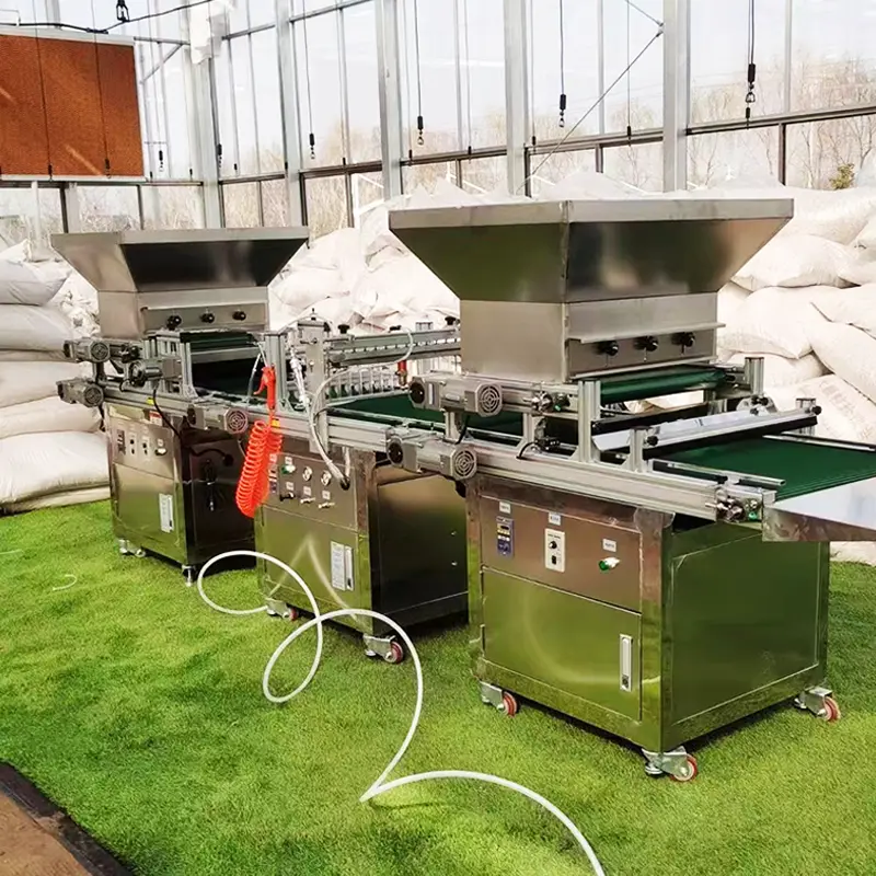 Automatic Tray Seed Sower Planter Efficient Seeder & Transplanter for Farm & Nurseries New Condition Automatic Tray Seeder