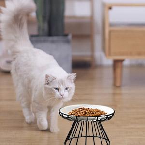 Elevated Ceramic Cat Bowl with Metal Stand – Tilted Pet Feeding Bowl for Cats & Small Dogs, Anti-Vomit & Easy to Clean