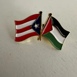 Palestine Puerto Rico flags pin