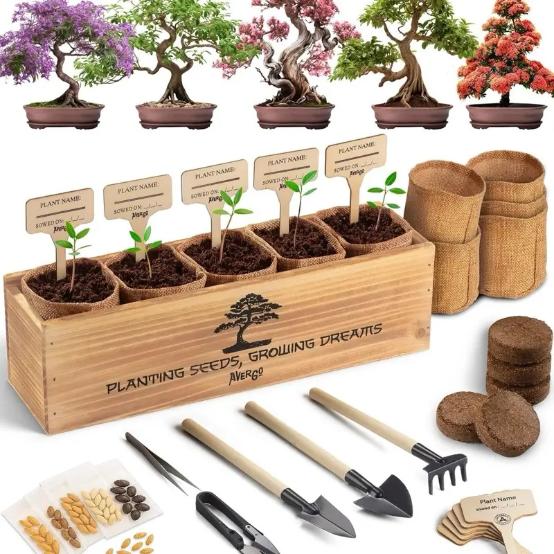 Bonsai Tree Kit Indoor Starter Set – 5 Japanese Bonsai Seeds, Tools & Planters – Gift for Plant Lovers