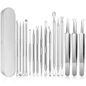 15 PCS Stainless Steel Facial Skin Care Tool Kit, Professional Beauty Tweezers and Needle Set for Home Facial Cleaning, with Metal Storage Box