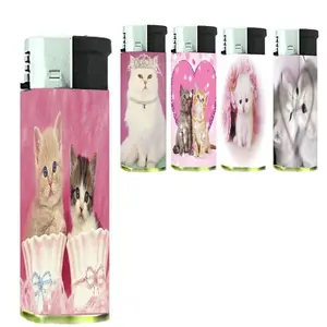 Set of 5 Pink Heart Kittens Assorted Design Pocket Lighter