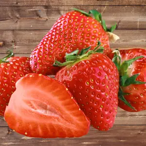 Seascape Everbearing Strawberry Plants | Live Bare Root | High-Yield Sweet Variety | Non-GMO | Hand Picked Nursery