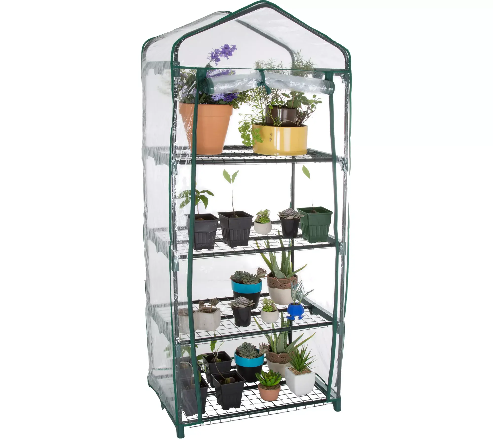 Pure Garden 4-Tier Mini Greenhouse with 4 Shelves and Cover Pure Garden 4-Tier Mini Greenhouse with 4 Shelves and Cover