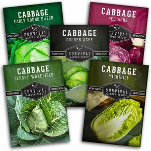 Cabbage Seed Collection - Red Acre, Golden Acres, Jersey Wakefield, Early Round Dutch & Michihili (Napa)