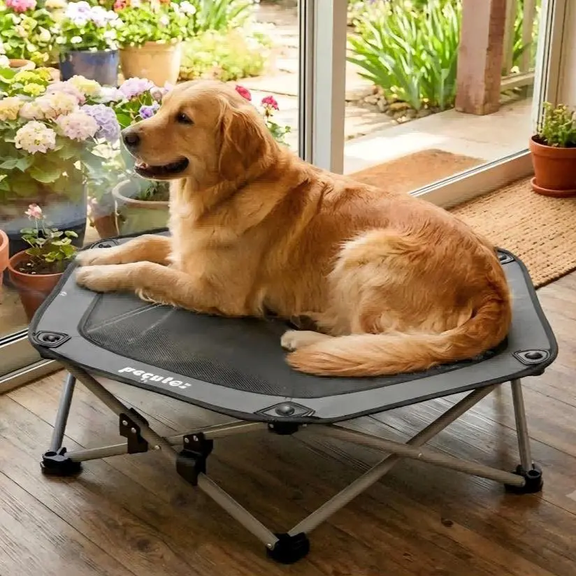 Pecute Elevated Dog Bed with Cooling Blanket - 16mm Foldable Portable Steel Frame, Hose-Cleanable Mesh Saves Time, 60kg Weight Capacity, Fold Back in 3s, Storage Bag, for Small Dogs Poodle, Patio Camping Outdoor Pet Cot, Plain