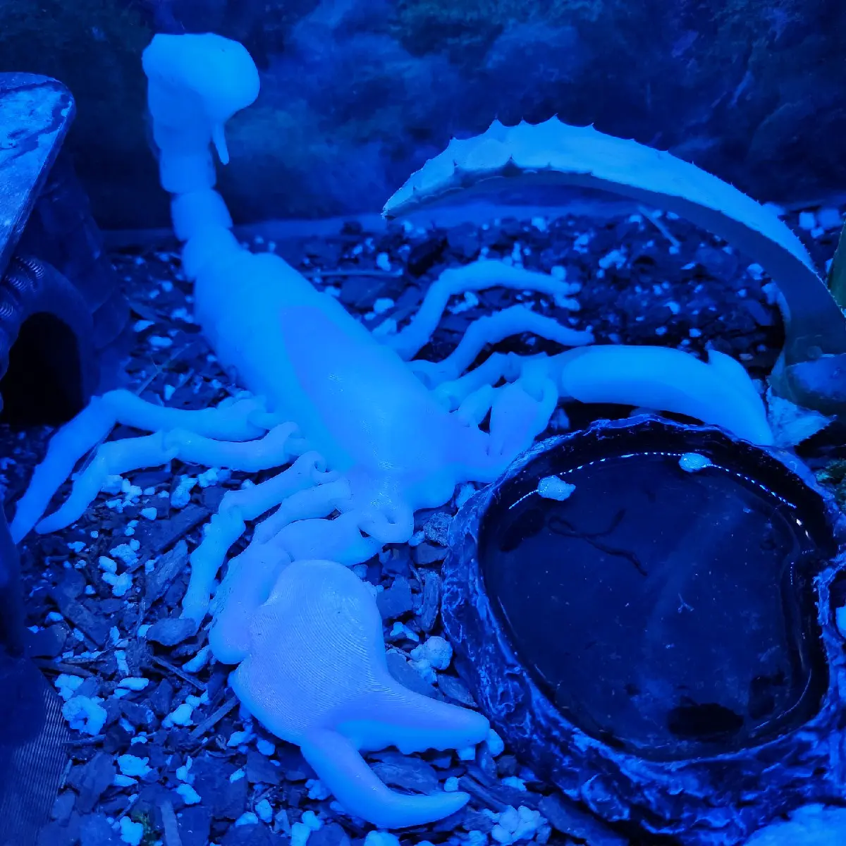 12-Inch Articulated Scorpion – Glows in The Dark