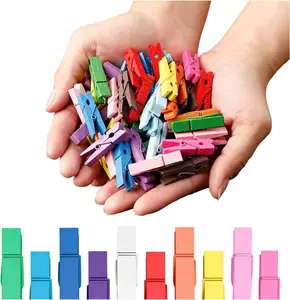 Small Clothes Pins for Photos, 1.4'' 100 PCS Natural Birchwood Mini Clothes Pins, Strong Springs Colorful Clothespins with Storage Bag, Mini Clothespins for Photos, Crafts, Pictures, Art