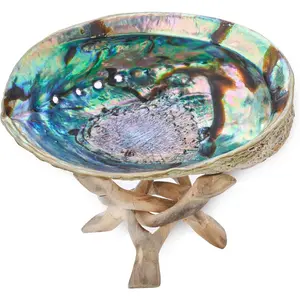5.5 Inch Smudge Kit Shell & Stand | Abalone Shell + Wood Stand | Hand Made, Sustainably Grown, Smudging Kit Smudge Bowl & Stand