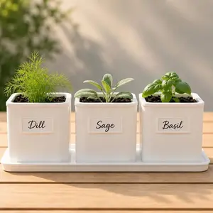 Self Watering Herb Pot Set with Tray, Indoor Kitchen Garden Planter, Modern Countertop Pots