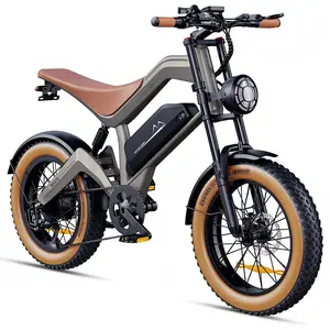 DYU-m20Product OverviewThe DYU-m20 is a sleek electric bike designed for urban mobility. cycling Moped Style Ebike