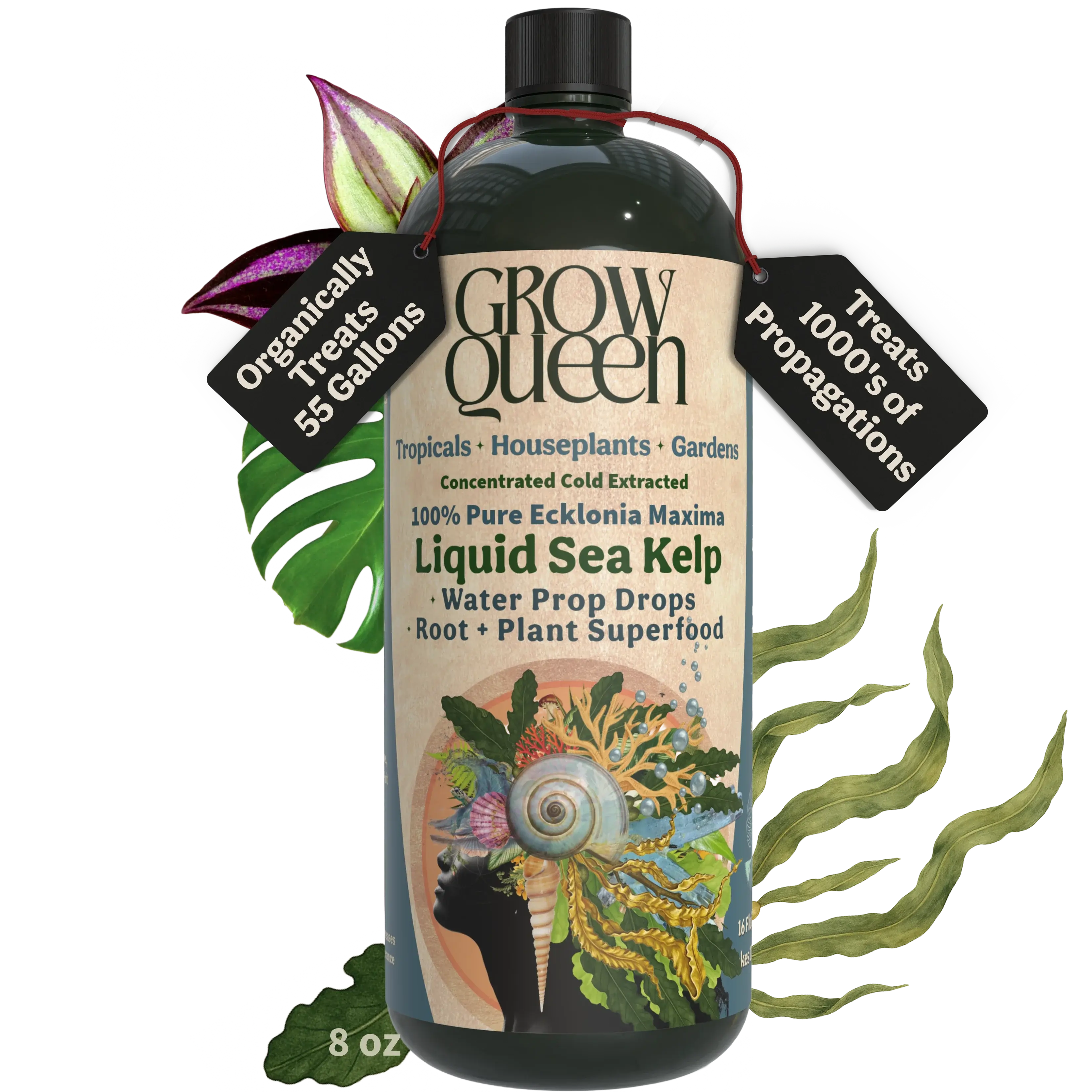 Ecklonia Maxima Kelp Extract Plant Superfood Planting Soil Additive Garden Potting Soil