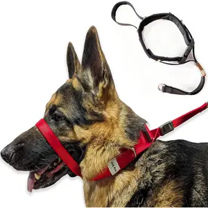PetsProMax Dog Headcollar for Pulling & Reactive Dogs – No-Pull Training Collar with Behind-Head Leash Hook for Peaceful Walks, Instantly Stops Pulling Without Choking or Pinching (Red, L)