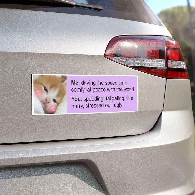 Meme Cat Car Magnet, Cute Funny Kitten Bumper Sticker, Gen Z Magnetic Sticker