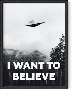I Want To Believe Posters, Noframed