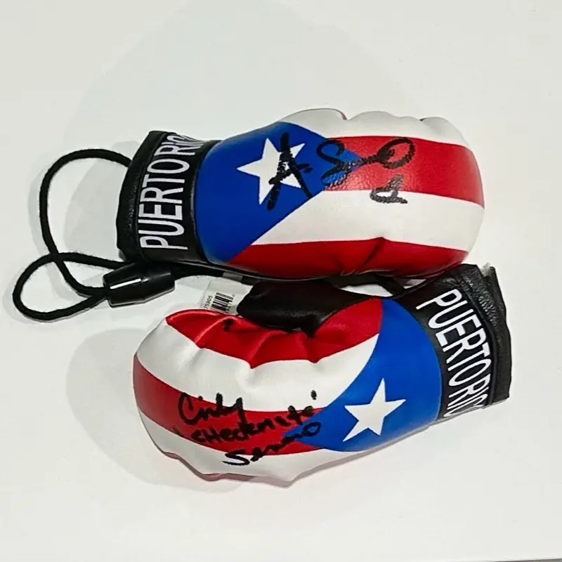 Serrano Sisters Signed Rearview Mirror Gloves
