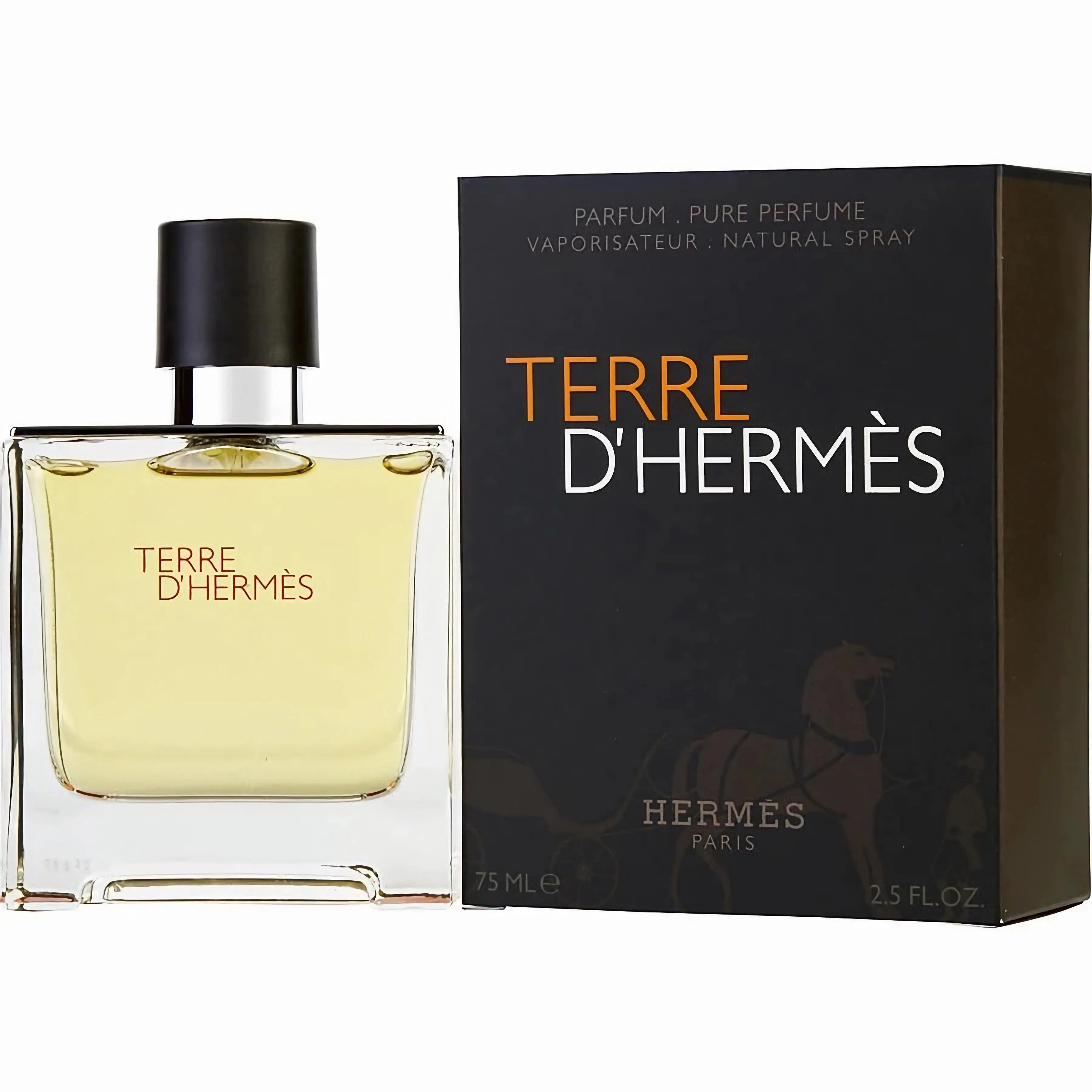Hermès Men's 2.5 Ounce Terre D'Hermes Pure Perfume Eau de Parfum