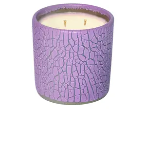Houseplant Crackle Candle in Purple