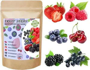 1100pcs Mixed Fruit Seeds Berry Seeds for Planting Strawberry Raspberry Mulberry Blueberry Elderberry Cherry - Individually Packaged