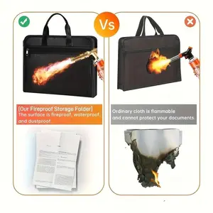 Fireproof Foldable File Folder with Handle, 13 Transparent Pockets, Zipper and Labels, Expandable Multi-Pocket Document Organizer