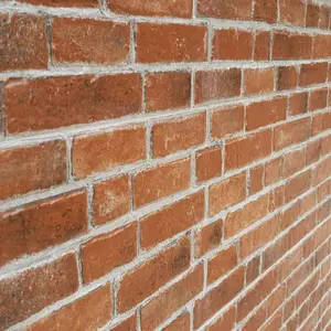 dBrick 12" x 24" Brick Look Floor & Wall Tile