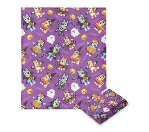 Bluey 50x60 Silk Touch Throw Blanket by The Northwest Group