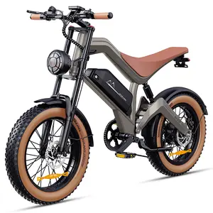 DYU M20 All Terrain Electric Bike 1500W Motor 873.6Wh Battery 100 Miles Range Dual Hydraulic Brakes 20X4.0" Tires