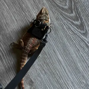 Reptile Harness & Leash Set - 3-Size Pack, Adjustable Soft Microfiber Suede Leather with Hook-and-Loop Design, Standard & High-End Models, Large No-Pull Full Protection Outdoor Harness for Bearded Dragon Training, No Pull Harness, Universal Harness