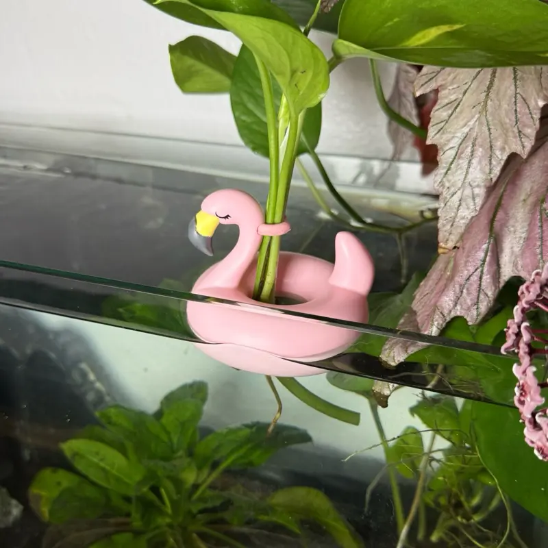 Aquabuds - Propagation Floaties - for aquarium propagation - unicorn flamingo dinosaur balloon
