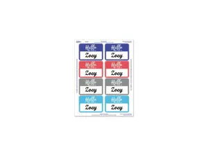 Avery 08722 Flexible Adhesive Name Badge Labels, 3 3/8" x 2 1/3", Assorted, 120/PK