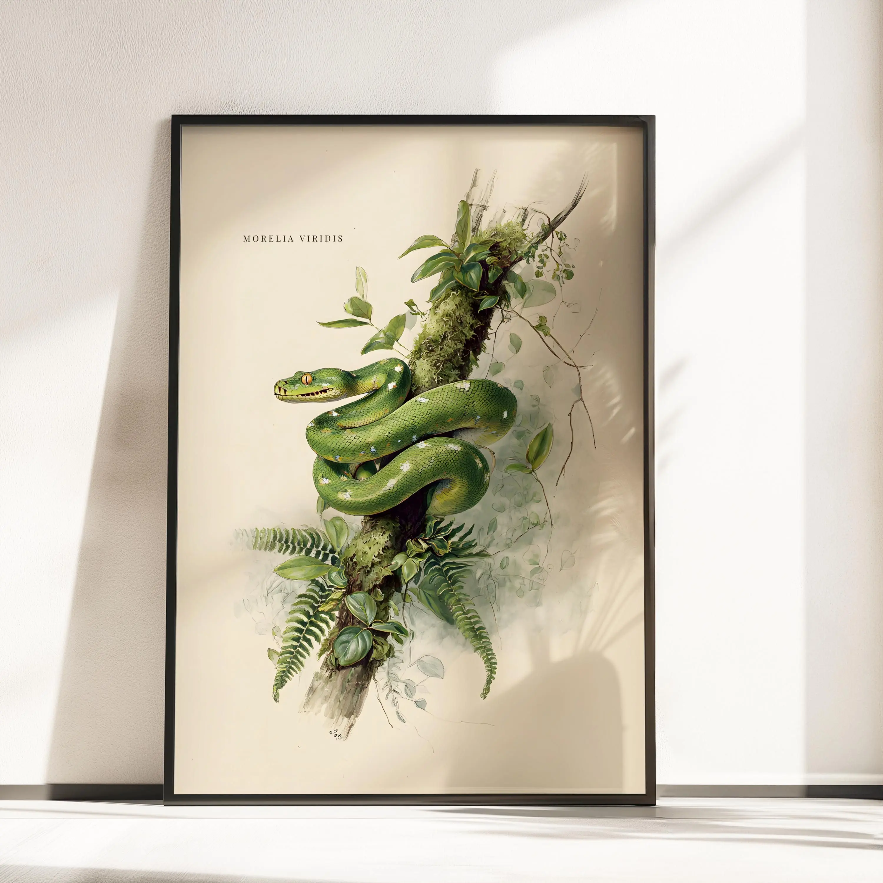 [SALE UP TO 40%] [Unframed] Scientific Reptile Poster, Vintage Green Tree Python Print, Amazon Wall Decor