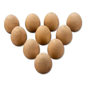 10Pcs Wooden Eggs for Easter Basket or Home Decor Unpainted Set