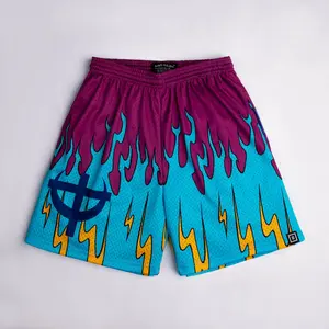 SomeSlight Pheonix Mesh Shorts – Anime Style | Premium Streetwear Fit