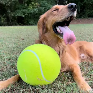 Giant Tennis Ball For Dogs - 9.5in