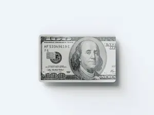 One Hundred Dollar Bill Credit Card Cover/Skin - Credit/Debit Card Skin
