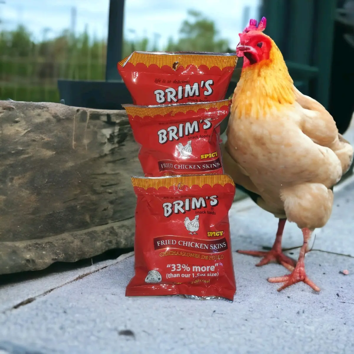 Brim's Spicy Chicken Cracklins Fried