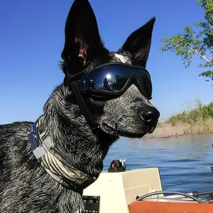 Goggles For Big Cool Dog