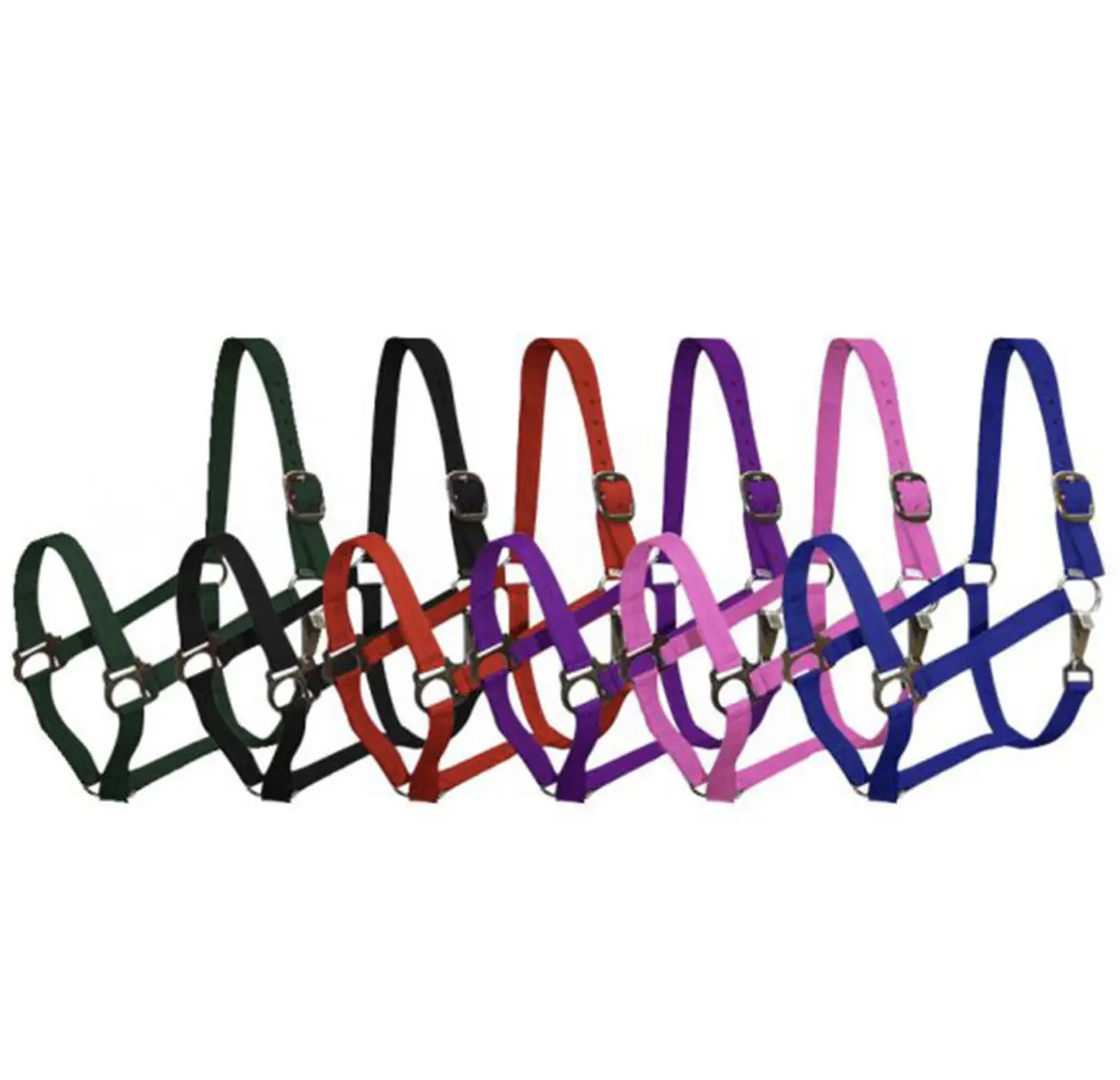 Showman halter