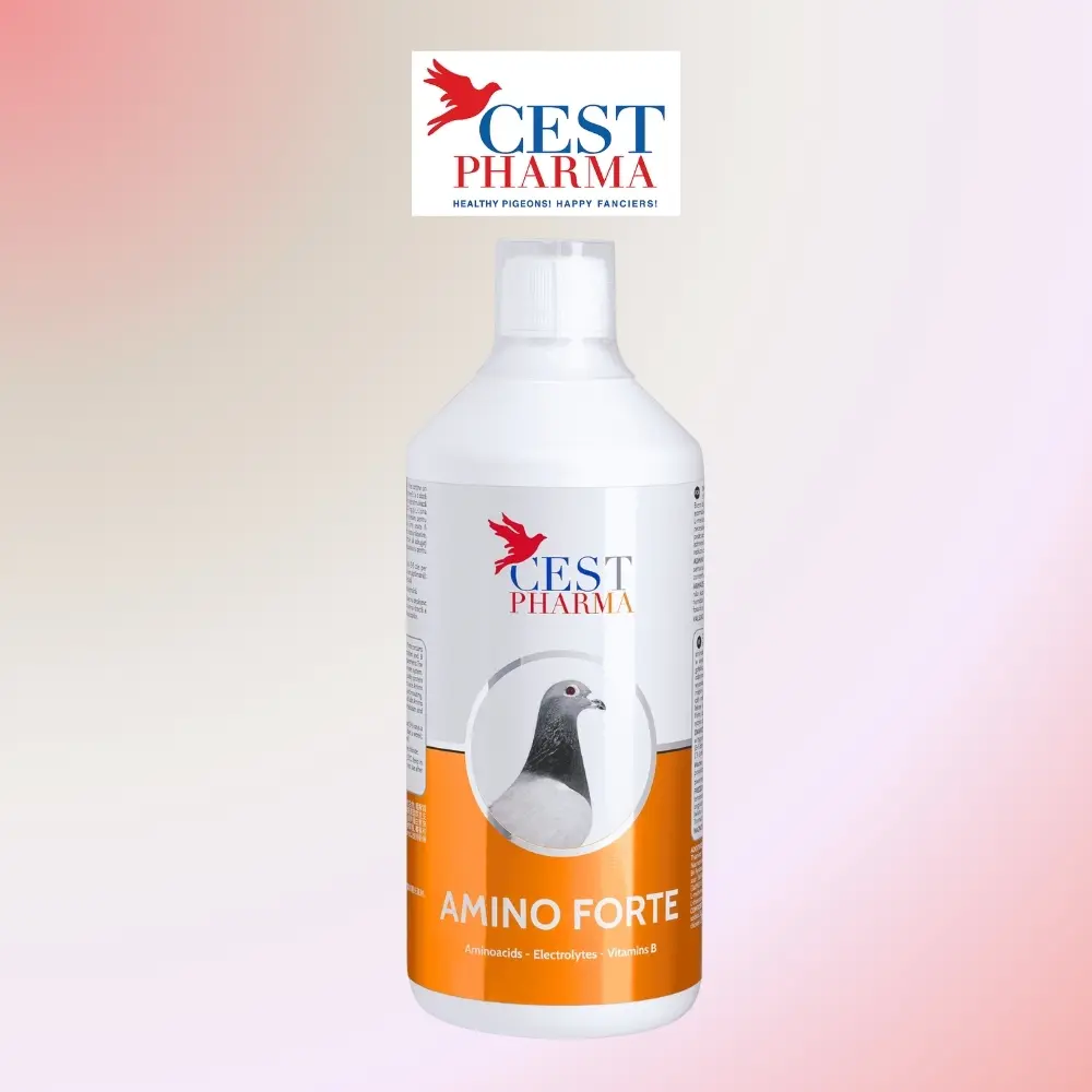 Cest Pharma Amino Forte  aminoacidos , electrolito . Suplemento multivitamínico para aves domésticas: palomas y aves de compañía